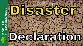 5 Texas Counties Declare Drought Disaster & Wheat Prices Dropping?!