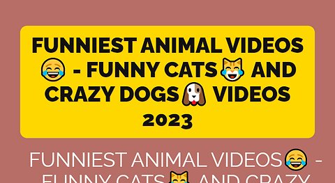 Funniest Animal Videos😂 - Funny Cats😹 and Crazy Dogs🐶 Videos 2023