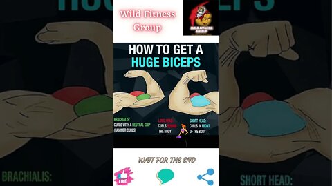 🔥How to get huge biceps🔥#shorts🔥#wildfitnessgroup🔥24 July 2022🔥