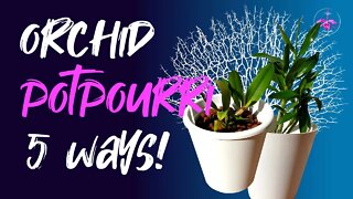 5 DIFFERENT WAYS to pot up #Orchids | Orchids are FUN!! 🤣