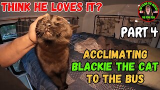 04-16-24 | Acclimating Blackie The Cat To The Bus, Think He Loves It? | Part 4