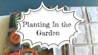 Planting in the Garden: Peas & Peppers