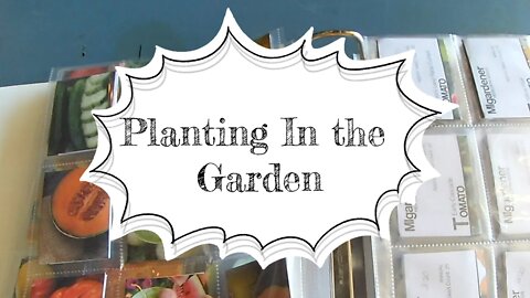 Planting in the Garden: Peas & Peppers