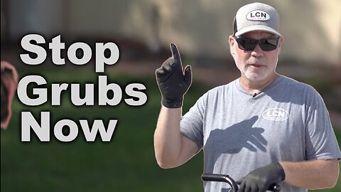 How To Prevent Grubs In The Lawn 2023