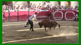 CADREITA ( NAVARRA ) TARDE VACAS EN PLAZA ( MIERCOLES 19 JULIO 2023 ) GANAD.EULOGIO