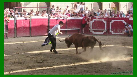 CADREITA ( NAVARRA ) TARDE VACAS EN PLAZA ( MIERCOLES 19 JULIO 2023 ) GANAD.EULOGIO