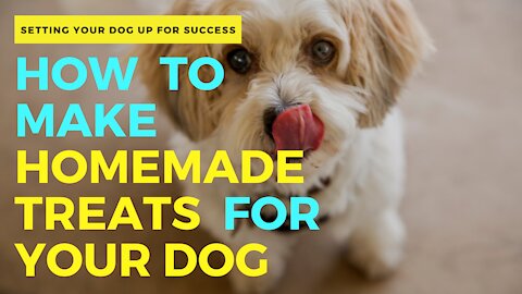How to Make Homemade Treats for Your DOG!!