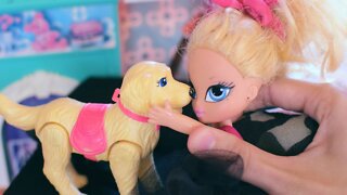 We Found a Dog!! -RADollz-