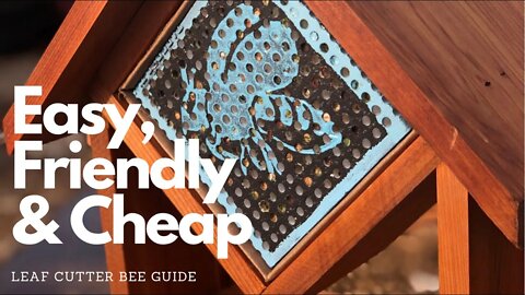 THE ALTERNATIVE TO HONEY BEES FOR A BACKYARD GARDEN. LEAF CUTTER BEES FOR BACKYARD GARDENS GUIDE 🐝