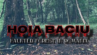 🇷🇴 I went to Hoia Baciu, The Haunted Forest in Romania 😱☠️