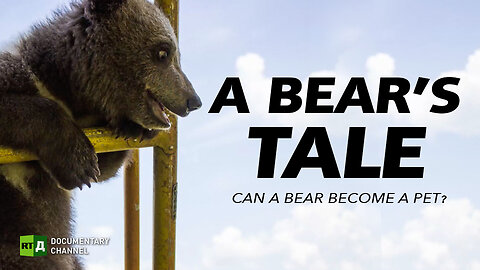 A Bear's Tale | RT Documentary