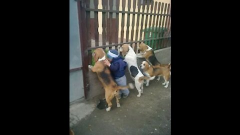 Children and dogs have a magical relationship with each other