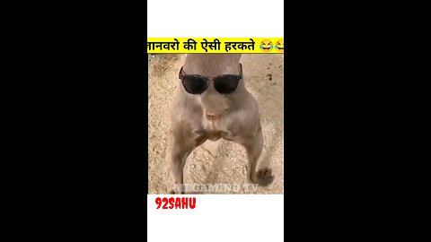 🤣🤣Dog funy krname 🤣🤣🤣🤣🤣