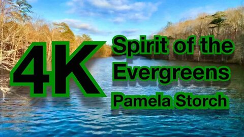 Pamela Storch "Spirit of the Evergreens" (4K 60FPS)