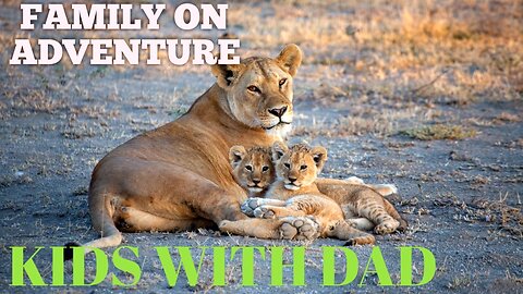 Lion family|Animal Adventure