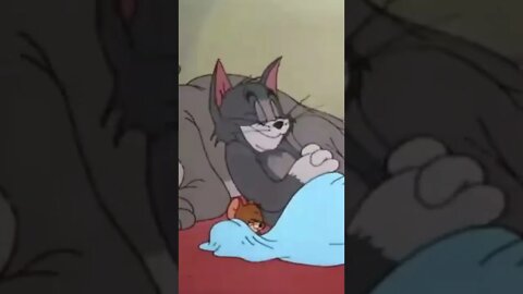 Tom and Jerry Best Moment, Tom&Jerry, Animation Cartoon, #cartoon # tomandjerry #shorts