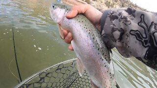 Warm Winter Days| New Mexico Fly Fishing | 2021