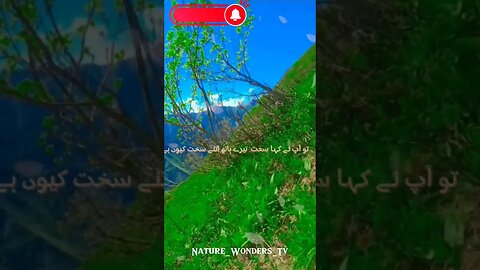 حلال کمائی حدیث ۔#youtubeshorts #naturechannel #relaxing #relaxing #8kfullhdstatus #foryou