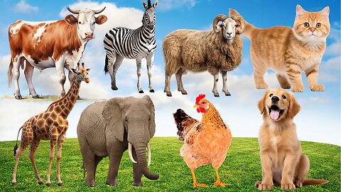 Cute little Farm animals: Eagle, Cow, Horse, Hen, Dog, Cat,Lion. #animals #animalsounds