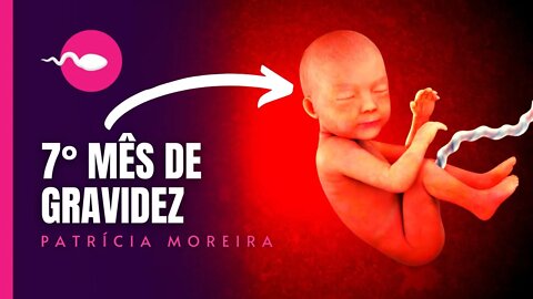 7 MESES DE GRAVIDEZ - Semanas 27, 28, 29, 30 | Patrícia Moreira - BOA GRAVIDEZ