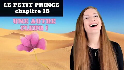 Le Petit Prince Chapitre 18 - Explanations - Explications - Antoine de Saint-Exupéry