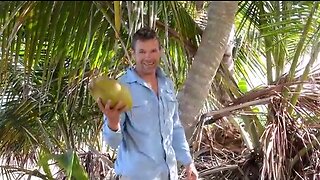 How to climb a coconut palm