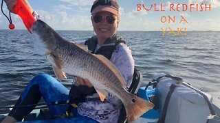 BULL REDFISH on a kayak!