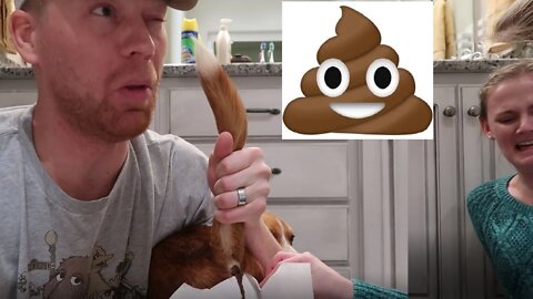 How to Empty a Dog's Glands - WHO_TEE_WHO