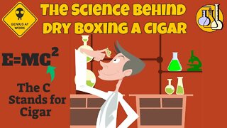 The Science Behind Dry-Boxing A Cigar 2020 | Cigar Prop