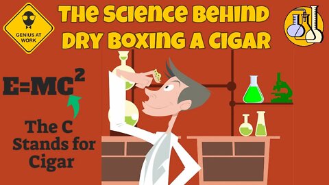 The Science Behind Dry-Boxing A Cigar 2020 | Cigar Prop