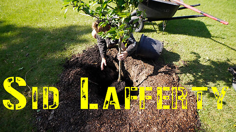 372. We planted a pear tree.