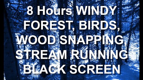 Windy forest with stream running, birds chirping, leaves blowing | 8 hours BLACK SCREEN #relax