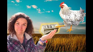 I don't pay for my chickens. My chickens pay for me.