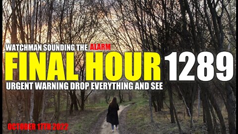 FINAL HOUR 1289 - URGENT WARNING DROP EVERYTHING AND SEE - WATCHMAN SOUNDING THE ALARM