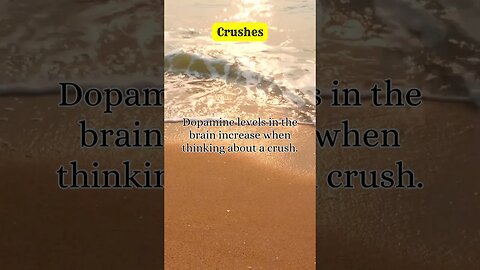 Psychology Facts: Crushes #short #shorts #viral #shorts #Facts