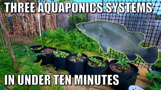 THREE Aquaponics Systems | A Sneak Peek....