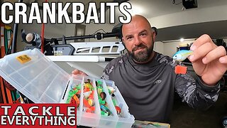 Top 5: Crankbaits (Squarebills)