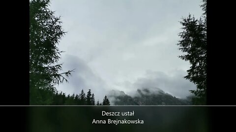 Deszcz ustał - Anna Brejnakowska