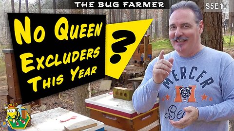 I need your Help. | I have a question? | Supering Hives #beekeeping #insects