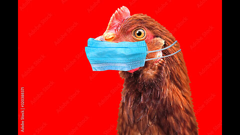 Pandemic 3.0: Moscow quarantine 16 city districts amid fake bird flu outbreak (NurembergTrials.net)