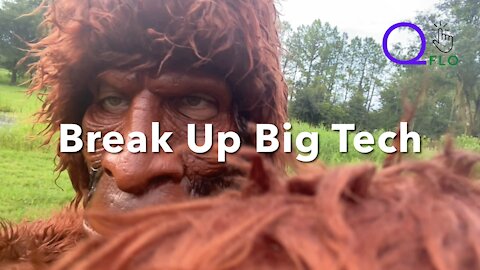 Why Does SaaSquatch use Censorship-Resistant QlickFlo for Smart Florida and Swamp Drainer Campaigns?