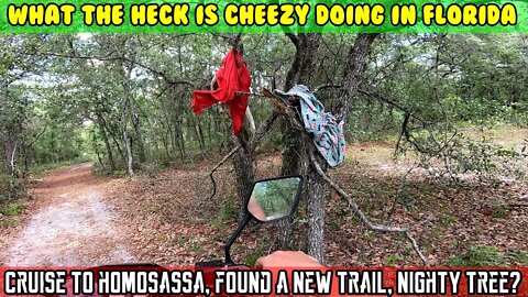 (S1 E13) Ride to Homosassa Florida, NEW TRAILS another panty tree? DLX battery still too low