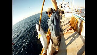 (6) 10/24/2014 - Afternoon Yellowtail bite aboard the New Seaforth.