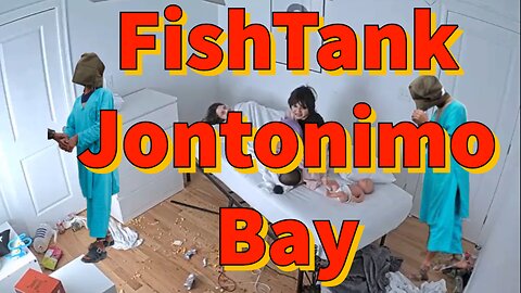 FishTank Live Jontonomo Bay