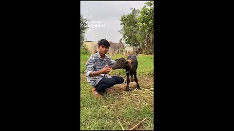 #latest #funny #video#newjokes