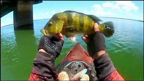 #8 Fishing Peacock Bass on the Bridge Pillar 4 - Kayak Fishing - Ultralight Fishing Style - Pesca de Tucunaré