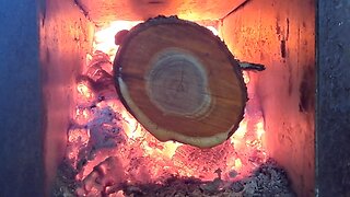 The World's Best Smokeless Rocket Stove Burns Wet Wood Too