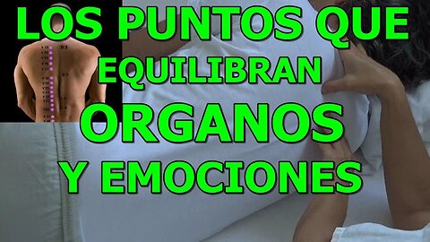 LOS PUNTOS SHU DE LA ESPALDA ACTÚAN DIRECTAMENTE EN LOS ÓRGANOS INTERNOS Y EN LAS EMOCIONES