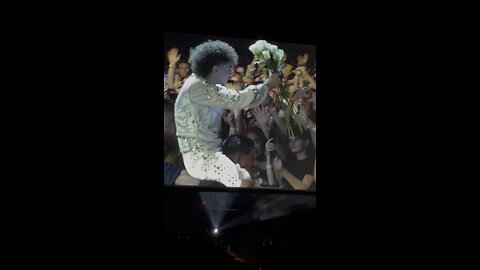 Lead singer of Greta Van Fleet (Josh Kiszka) hands out roses to audience members at concert