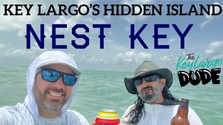 Memorial Weekend 2022? Check Out Key Largo's Nest Key Trail, A Hidden Treasure locals island!